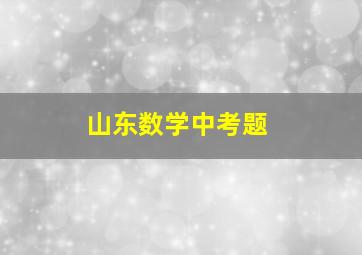 山东数学中考题