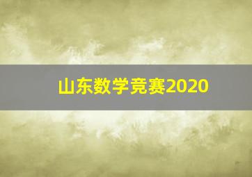 山东数学竞赛2020