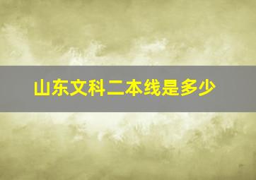 山东文科二本线是多少