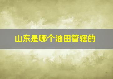 山东是哪个油田管辖的