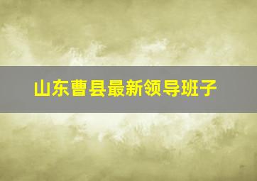 山东曹县最新领导班子