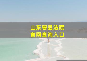 山东曹县法院官网查询入口