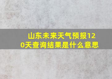 山东未来天气预报120天查询结果是什么意思