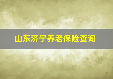 山东济宁养老保险查询