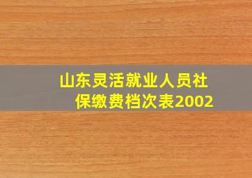 山东灵活就业人员社保缴费档次表2002