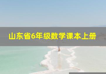 山东省6年级数学课本上册