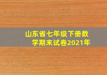 山东省七年级下册数学期末试卷2021年