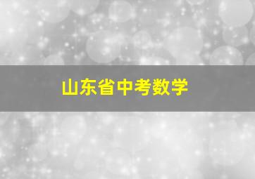 山东省中考数学