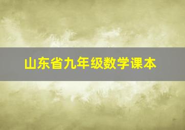 山东省九年级数学课本