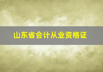 山东省会计从业资格证