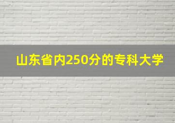 山东省内250分的专科大学