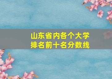 山东省内各个大学排名前十名分数线