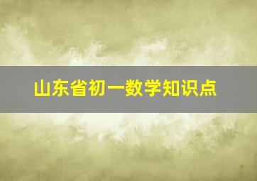 山东省初一数学知识点