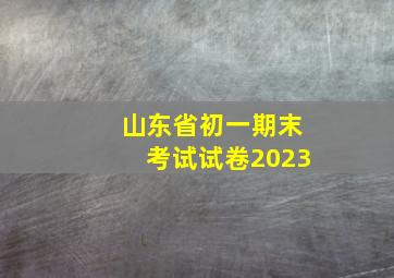 山东省初一期末考试试卷2023