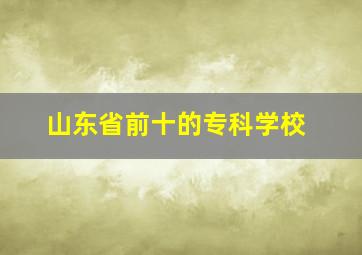 山东省前十的专科学校