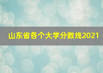 山东省各个大学分数线2021