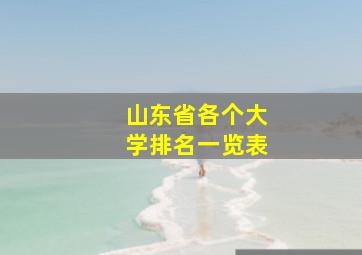 山东省各个大学排名一览表