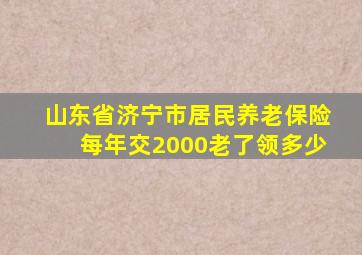 山东省济宁市居民养老保险每年交2000老了领多少