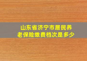 山东省济宁市居民养老保险缴费档次是多少