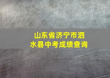 山东省济宁市泗水县中考成绩查询