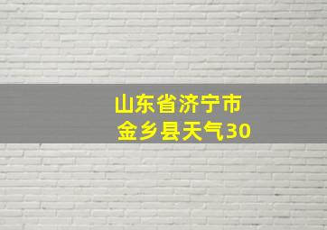 山东省济宁市金乡县天气30