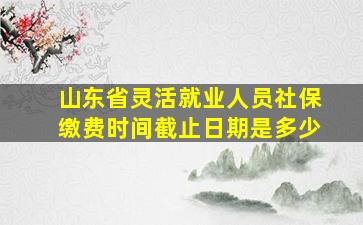 山东省灵活就业人员社保缴费时间截止日期是多少