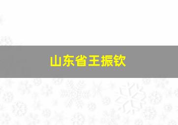 山东省王振钦