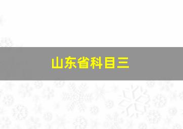 山东省科目三