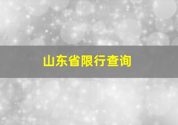 山东省限行查询