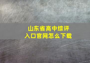 山东省高中综评入口官网怎么下载