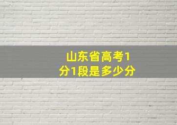 山东省高考1分1段是多少分