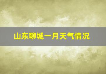 山东聊城一月天气情况