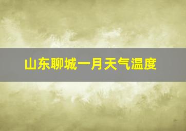 山东聊城一月天气温度