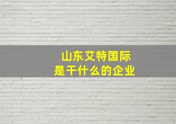 山东艾特国际是干什么的企业