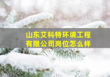 山东艾科特环境工程有限公司岗位怎么样