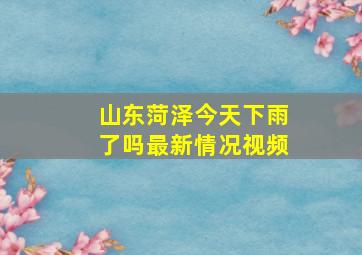 山东菏泽今天下雨了吗最新情况视频