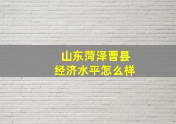 山东菏泽曹县经济水平怎么样