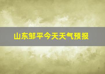 山东邹平今天天气预报