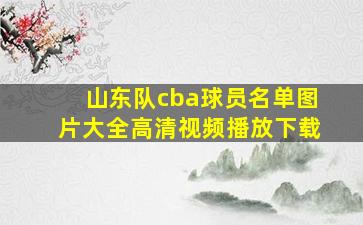 山东队cba球员名单图片大全高清视频播放下载