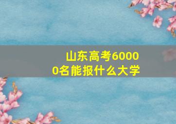 山东高考60000名能报什么大学