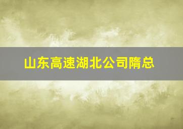 山东高速湖北公司隋总