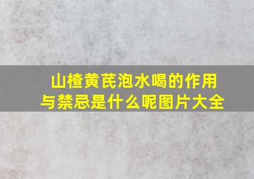 山楂黄芪泡水喝的作用与禁忌是什么呢图片大全