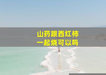 山药跟西红柿一起烧可以吗