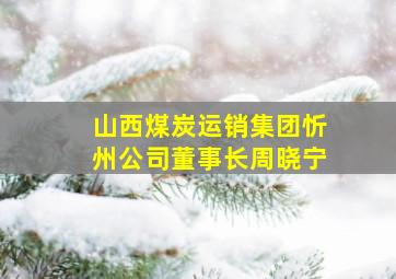 山西煤炭运销集团忻州公司董事长周晓宁