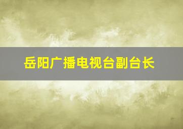 岳阳广播电视台副台长