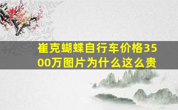 崔克蝴蝶自行车价格3500万图片为什么这么贵