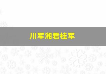 川军湘君桂军