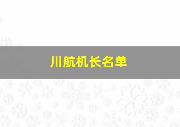 川航机长名单