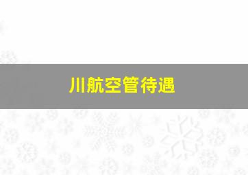 川航空管待遇