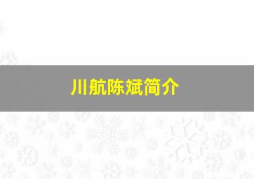 川航陈斌简介